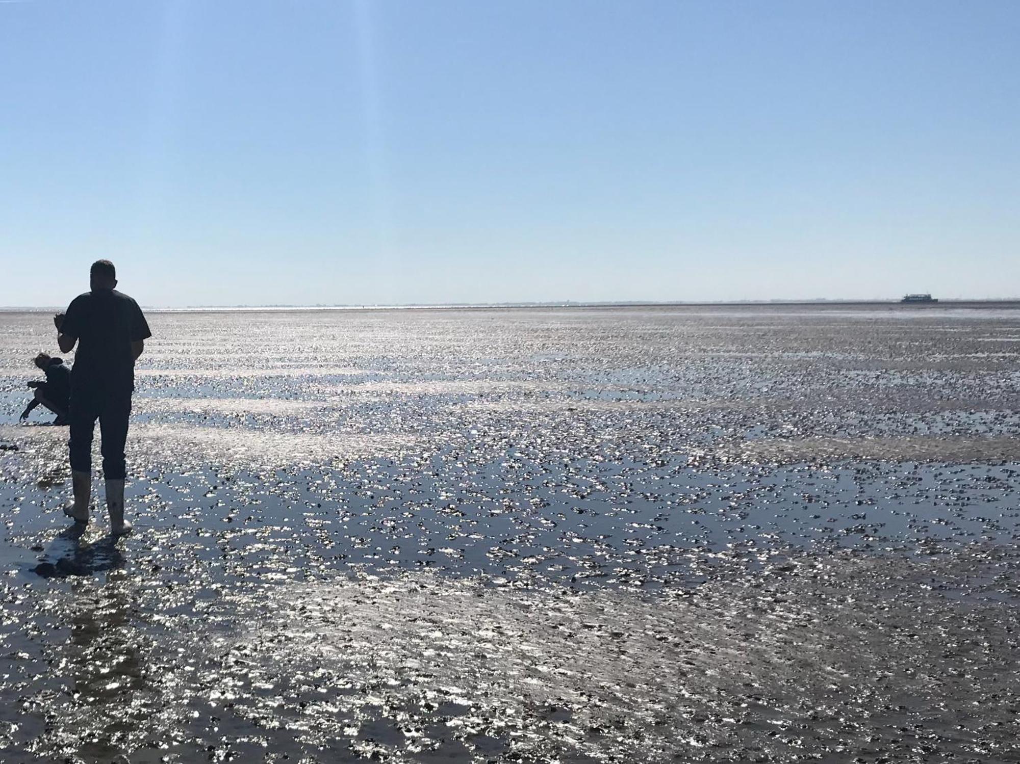 Camping Zee Van Tijd Holwerd Luaran gambar